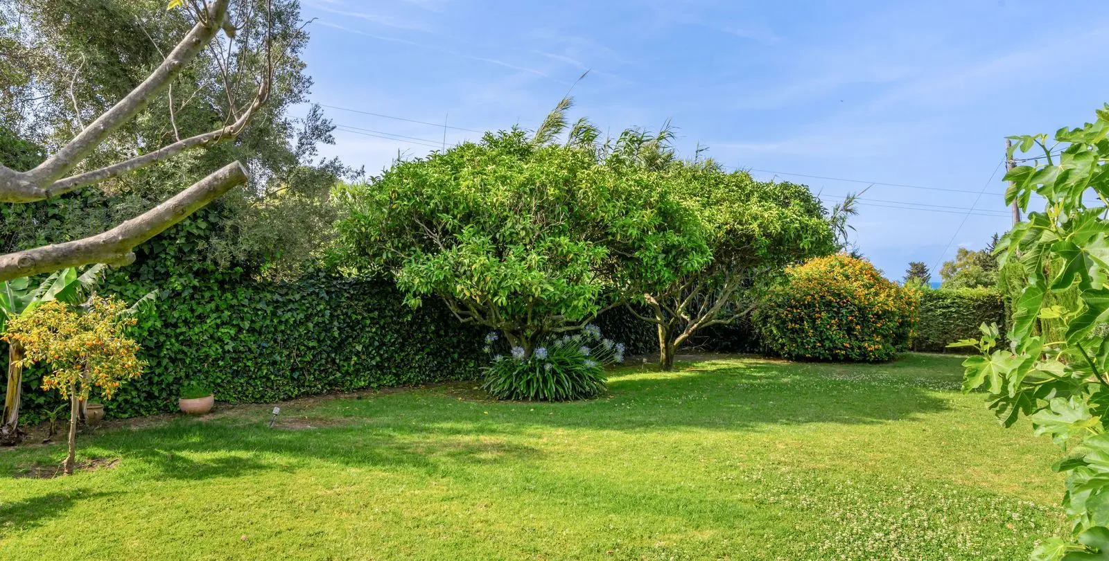 Sale of finca - cortijo in Estepona 30