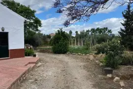 Image 1 thumb