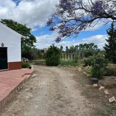 Sale of detached villa in Campanillas