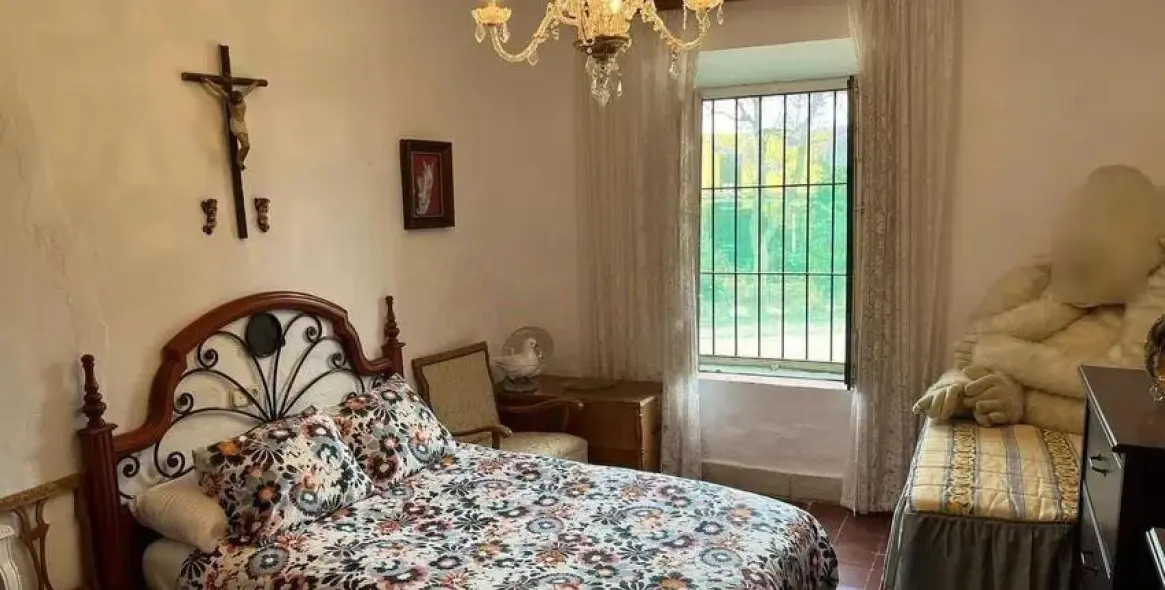 Sale of detached villa in Campanillas 6