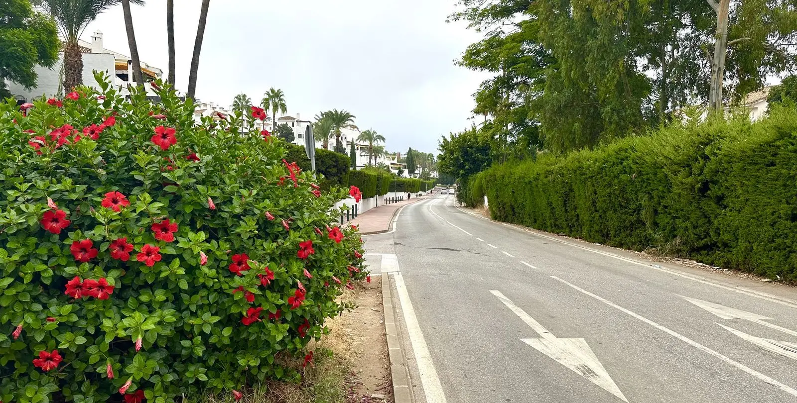 Продажа апартаментов на среднем этаже в Nueva Andalucía 34