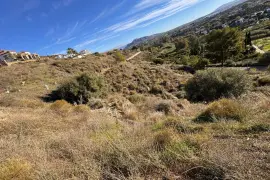 Image 7 thumb