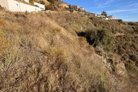 Image 12 thumb