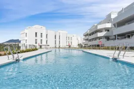 Image 26 thumb