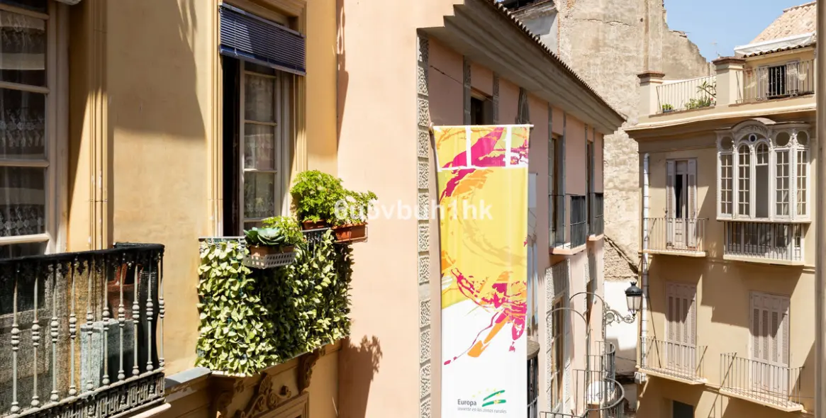 Продажа двухуровневых апартаментов в Málaga 21