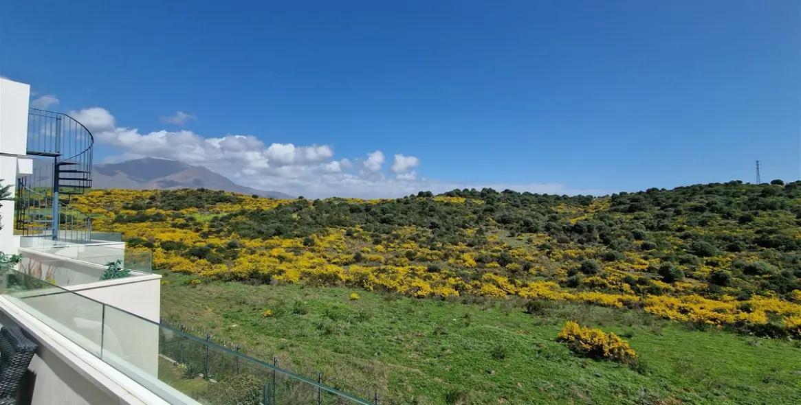 Venta de ático dúplex en Estepona 15