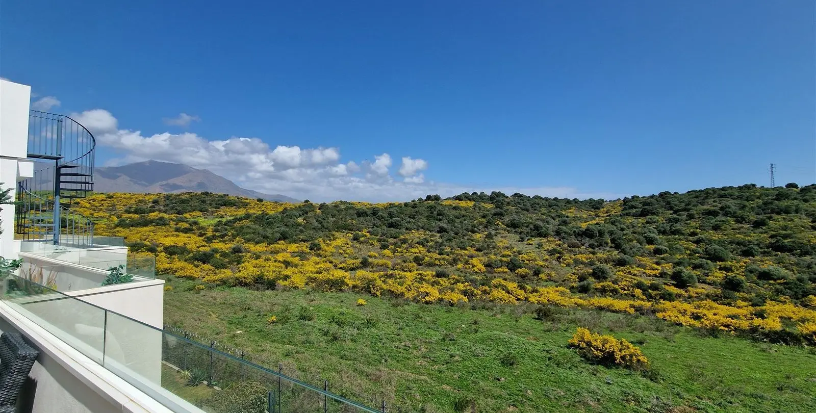 Продажа двухуровневого пентхауса в Estepona 15