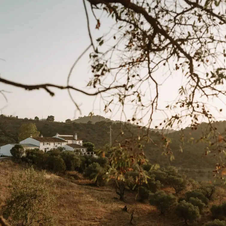 Venta de finca - cortijo en Casabermeja