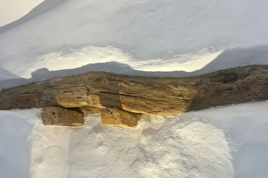 Image 19 thumb