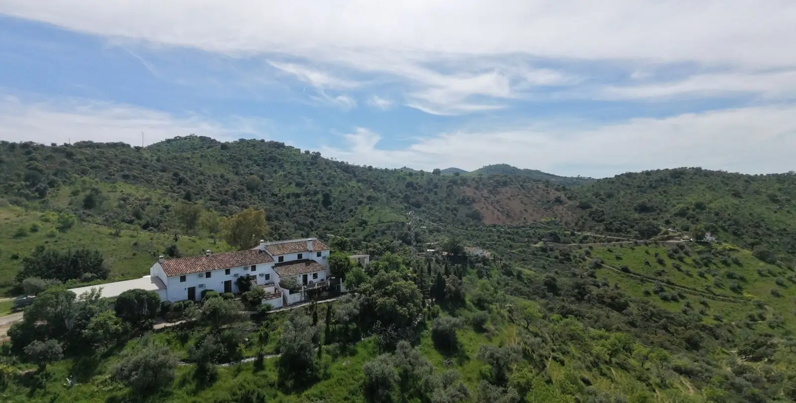 Sale of finca - cortijo in Casabermeja 48