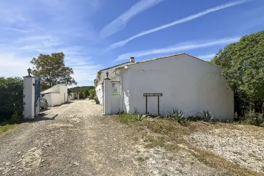 Image 60 thumb
