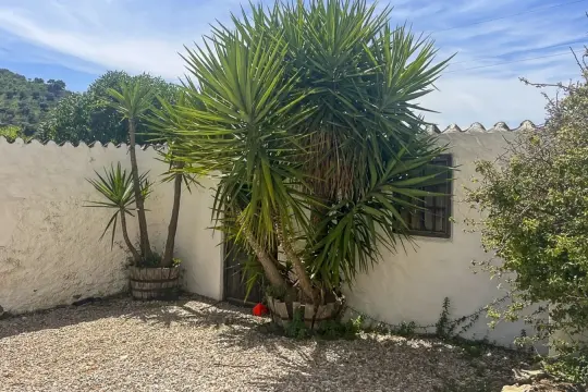 Image 63 thumb
