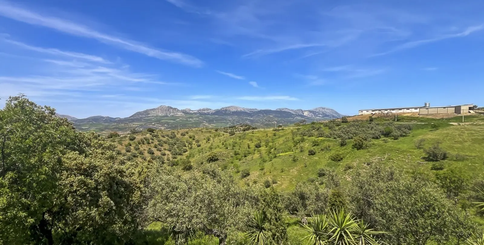 Sale of finca - cortijo in Casabermeja 66