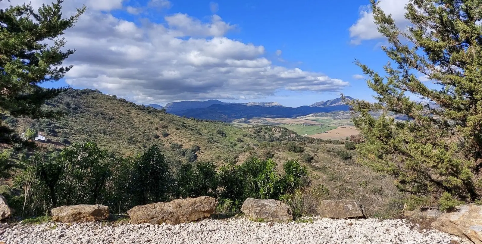 Sale of finca - cortijo in Casabermeja 68