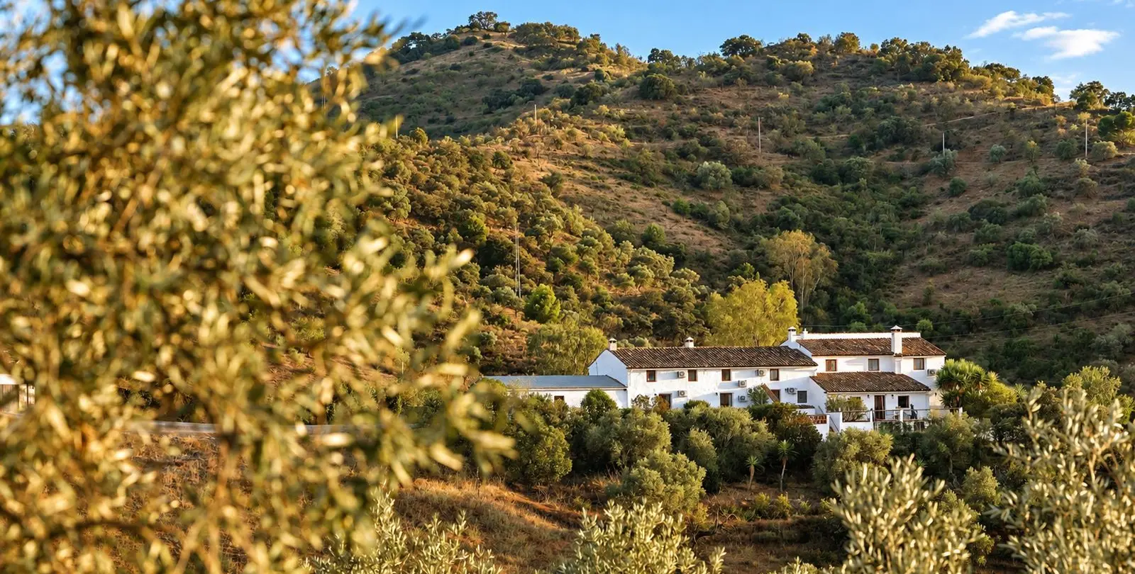 Sale of finca - cortijo in Casabermeja 9