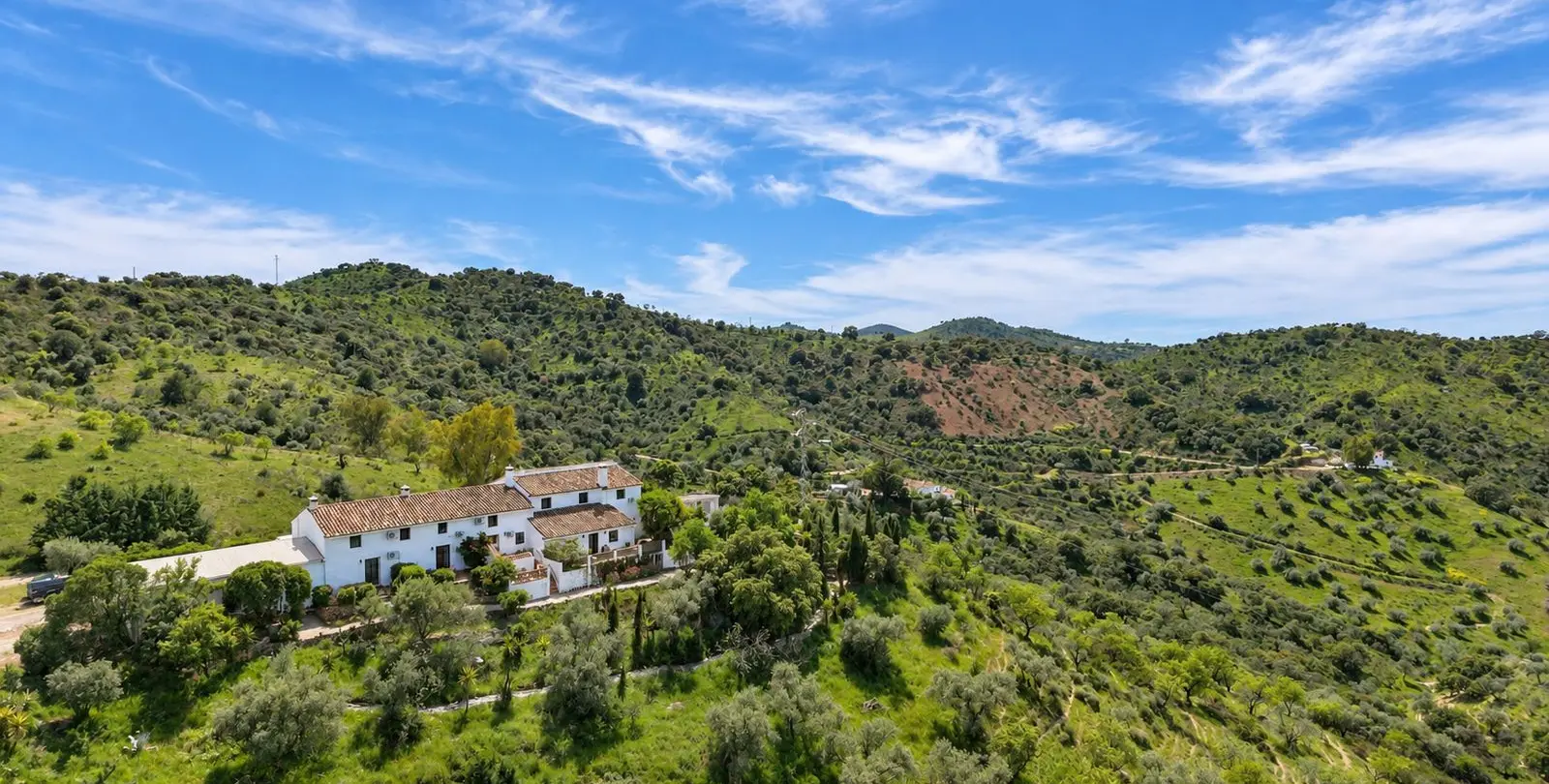 Sale of finca - cortijo in Casabermeja 16
