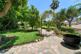Image 11 thumb