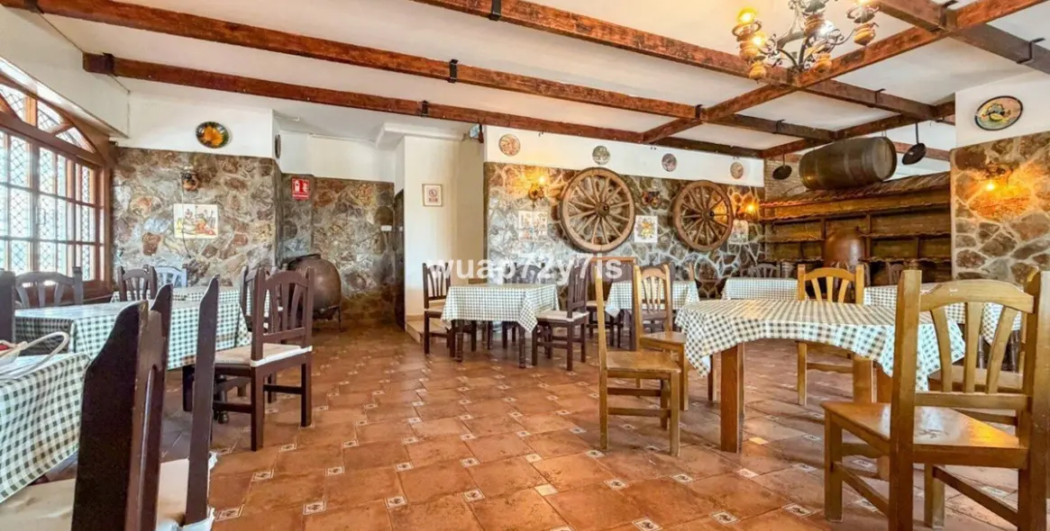 Long-term rent of restaurant in Estepona 8