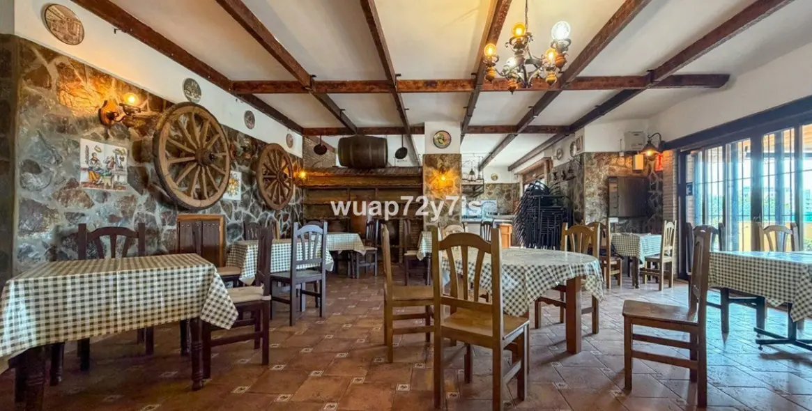 Long-term rent of restaurant in Estepona 9