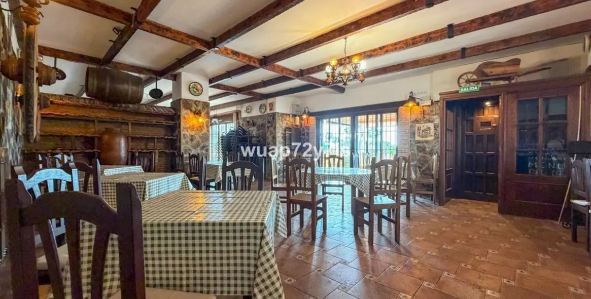 Long-term rent of restaurant in Estepona 11