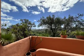 Image 15 thumb