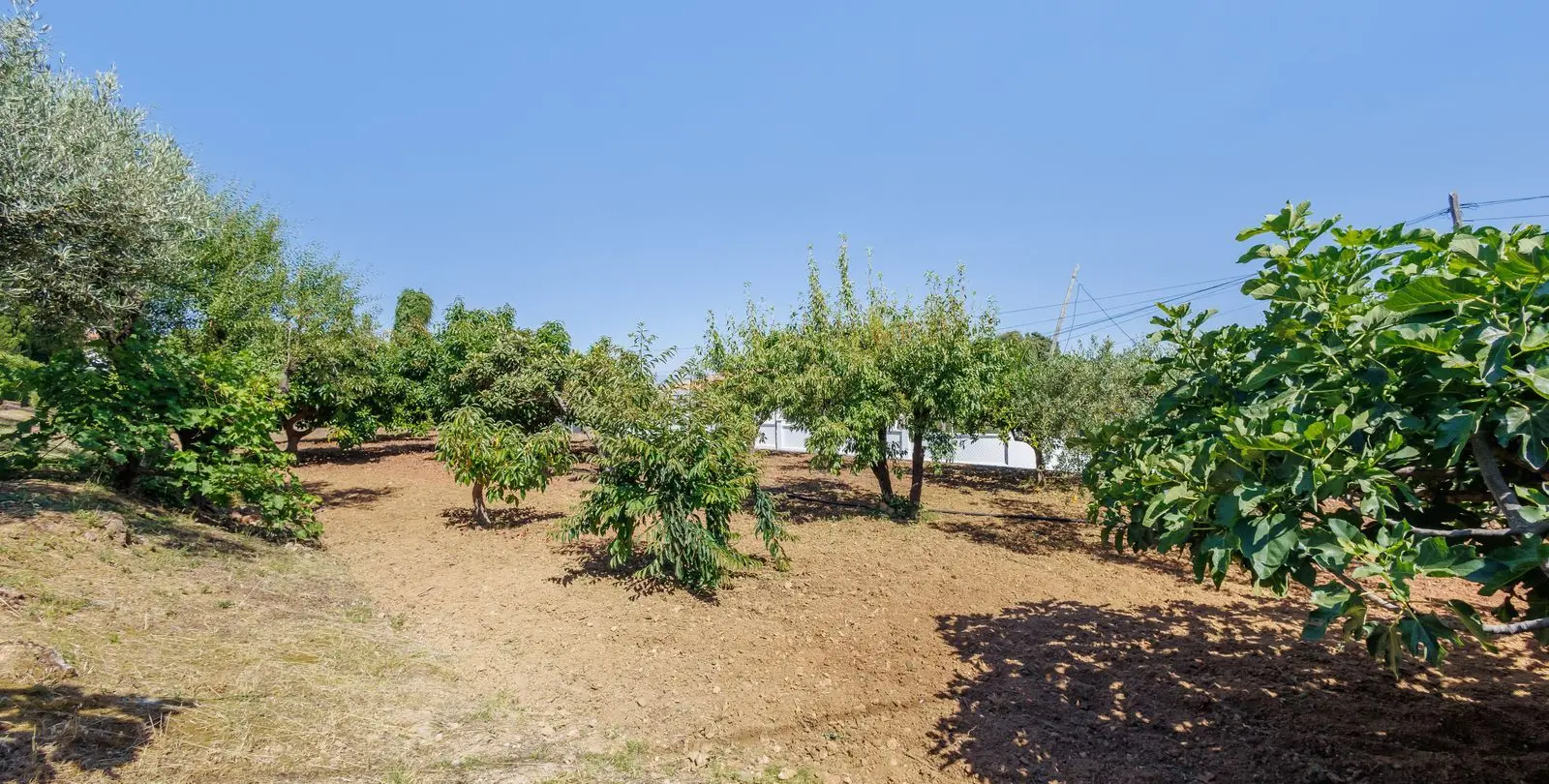 Продажа  отдельно стоящей виллы в Alhaurín el Grande 64