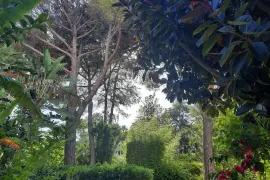 Image 2 thumb