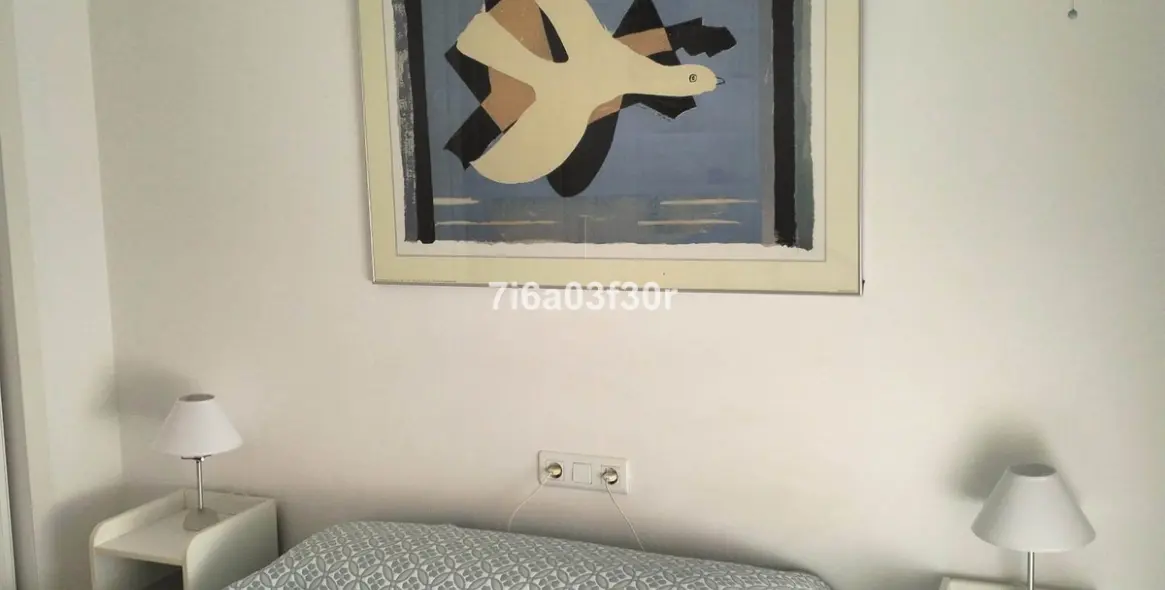 Short-term rent of penthouse in San Pedro de Alcántara 5