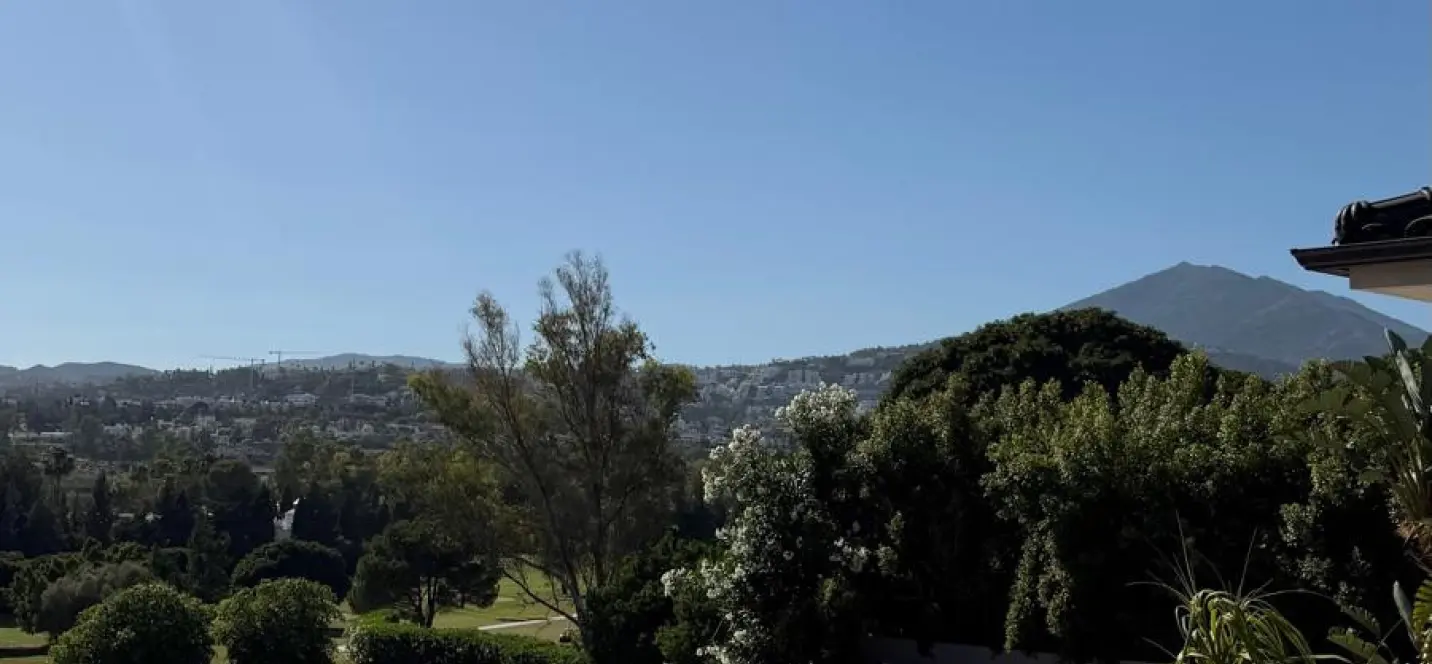 Short-term rent of detached villa in Nueva Andalucía 0