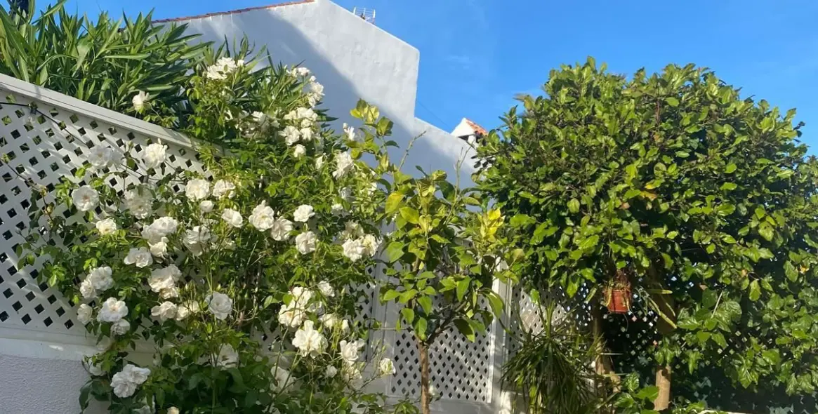 Venta de casa pareada en Casares Playa 18