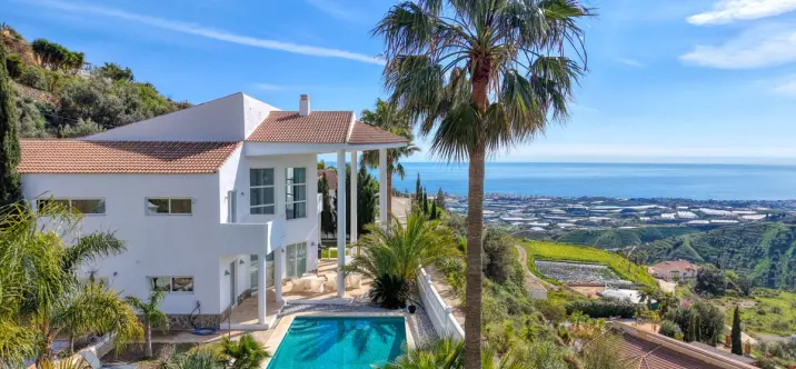 Sale of detached villa in Algarrobo 2