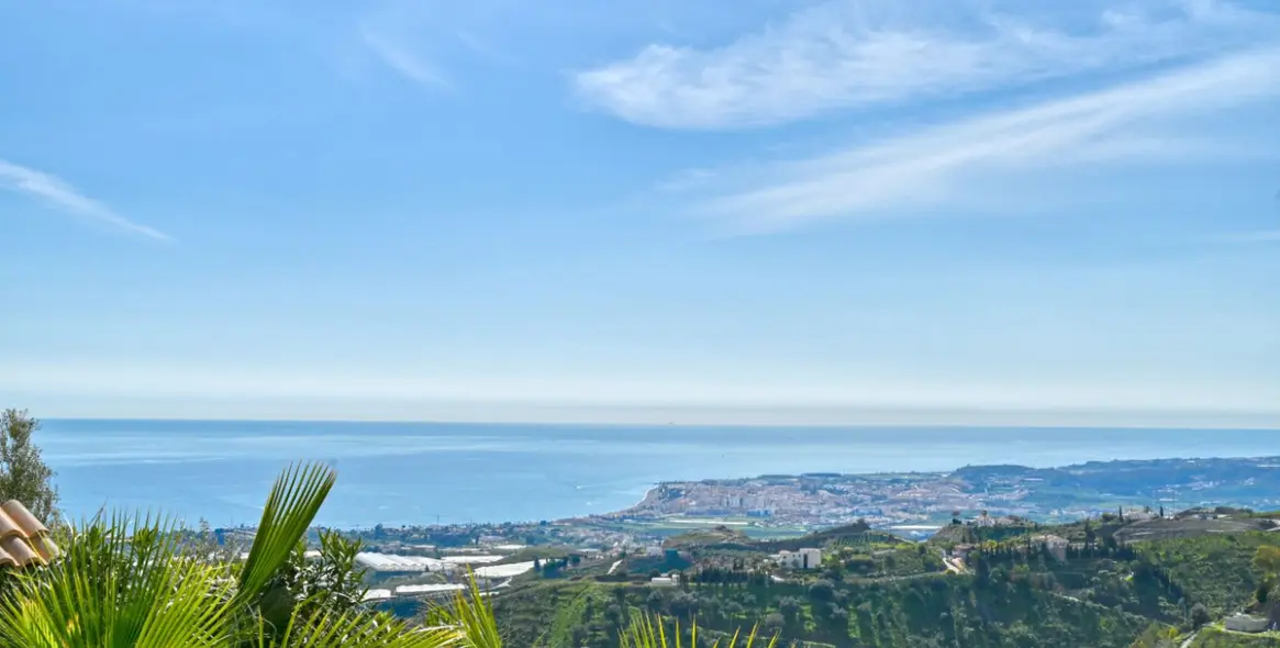 Sale of detached villa in Algarrobo 4