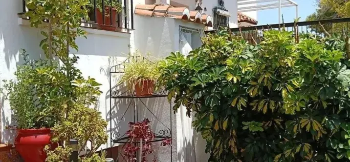 Продажа таунхауса в El Pinillo 1