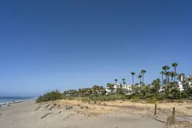 Image 4 thumb