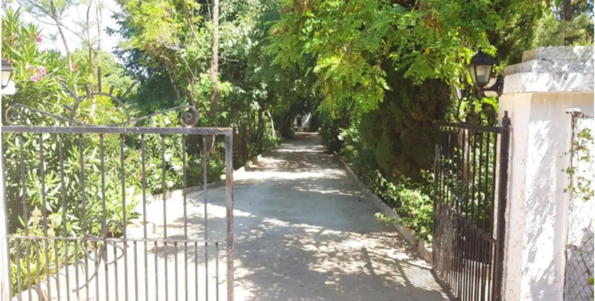 Sale of finca - cortijo in Alhaurín de la Torre 3