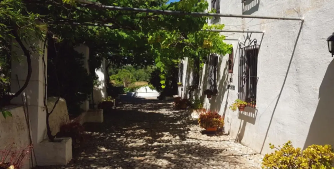 Sale of finca - cortijo in Alhaurín de la Torre 23