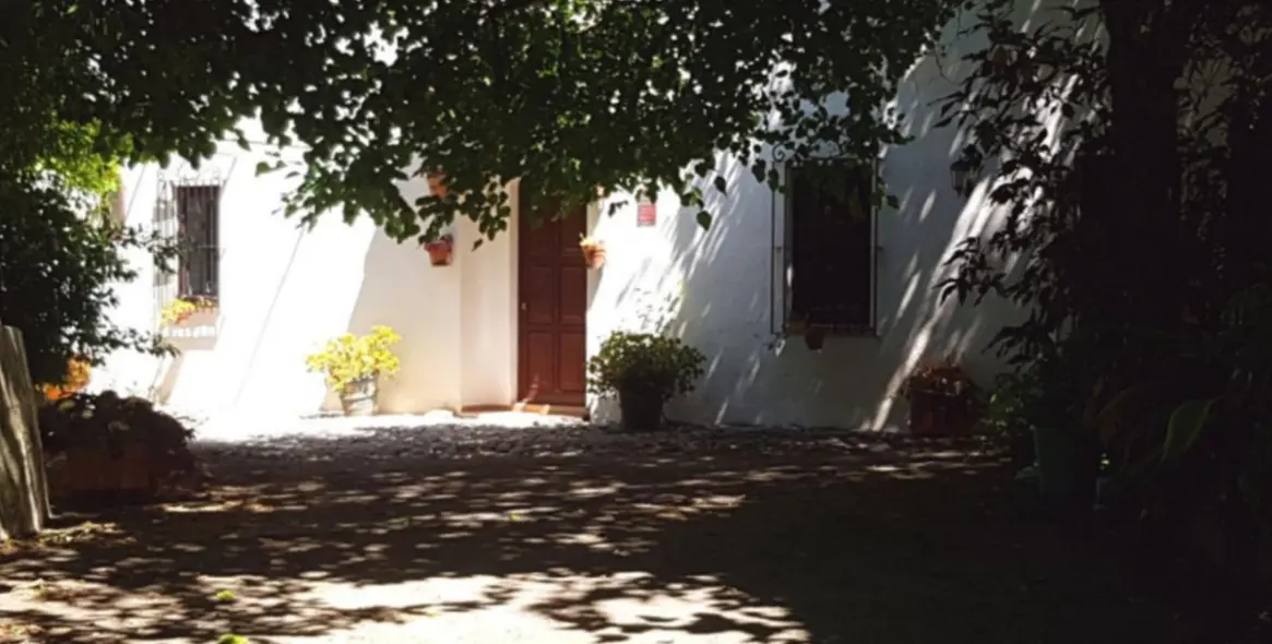 Sale of finca - cortijo in Alhaurín de la Torre 24