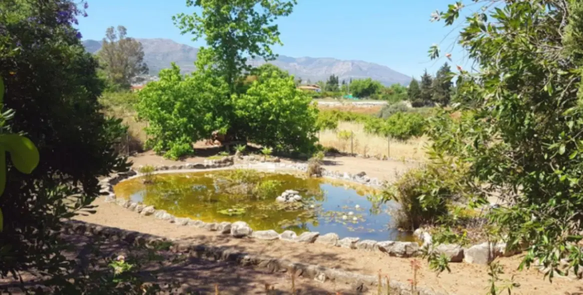 Sale of finca - cortijo in Alhaurín de la Torre 26
