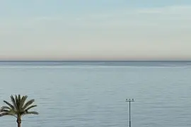 Image 4 thumb