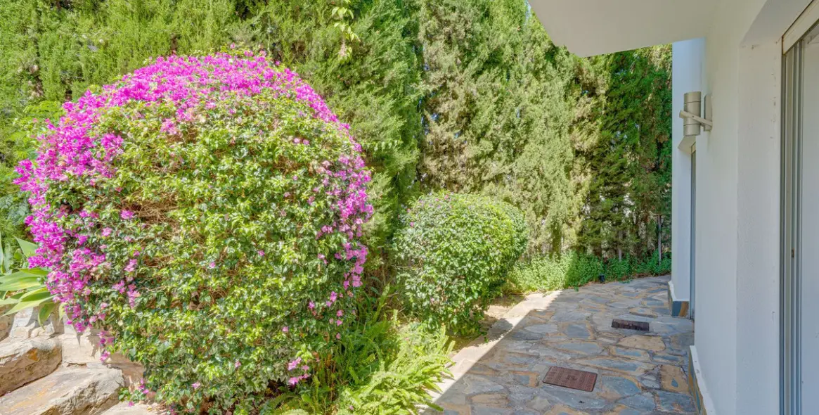 Venta de villa independiente en El Rosario 25