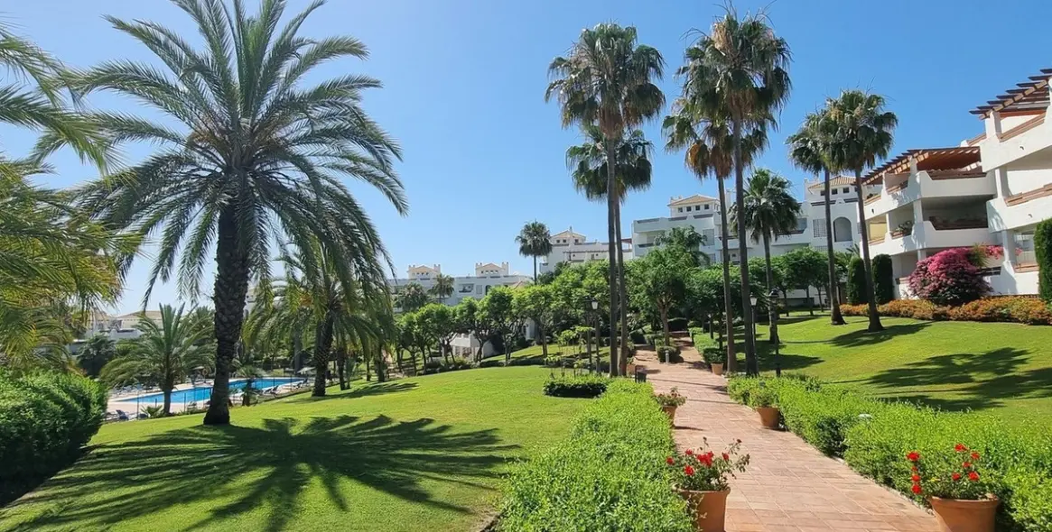 Sale of penthouse in Selwo 29