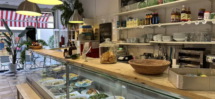 Long-term rent of restaurant in Guadalmina Alta 2