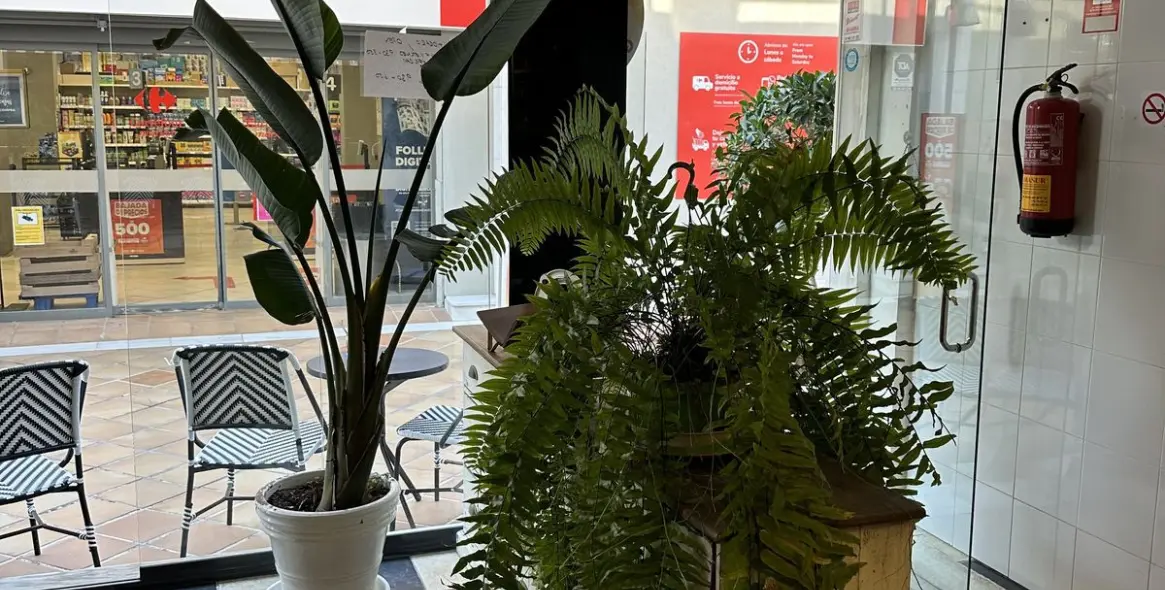Long-term rent of restaurant in Guadalmina Alta 4