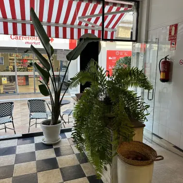 Long-term rent of restaurant in Guadalmina Alta
