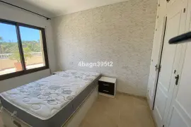 Image 4 thumb