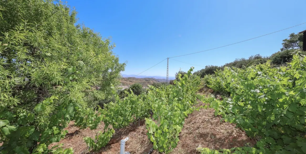 Venta de villa independiente en Guaro 100