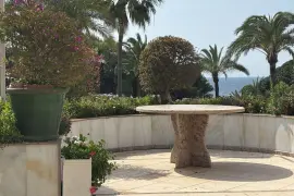 Image 4 thumb