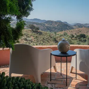 Venta de finca - cortijo en Almogía