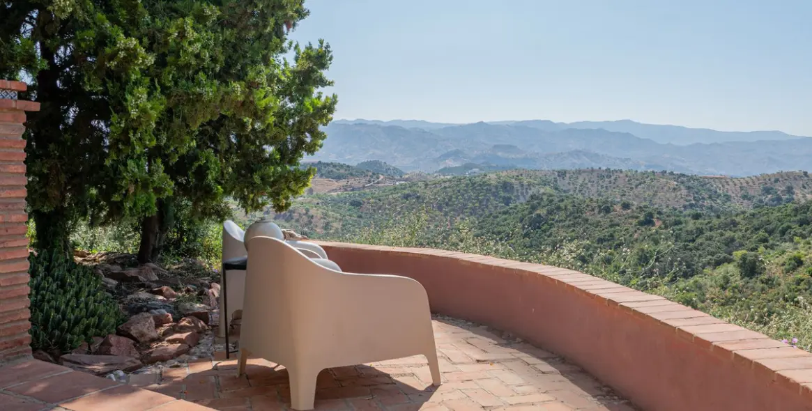 Venta de finca - cortijo en Almogía 7