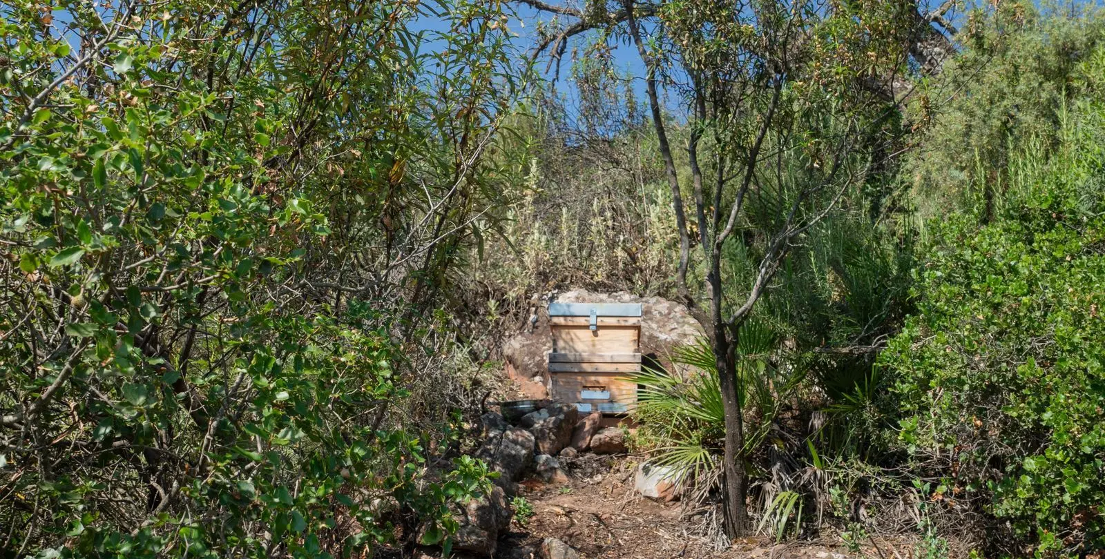 Sale of finca - cortijo in Almogía 35